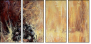 21581087