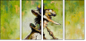 21588085