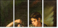 21653701
