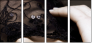 21991281