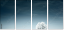 23439667
