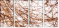 23639472