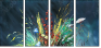 24170906