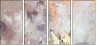 24599717