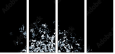24792295