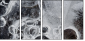 25109455