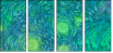 262122488