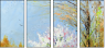 26973707