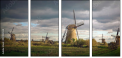 27403558