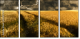 27477176