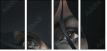 28242259