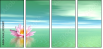 29216817