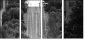29227779