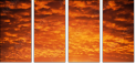 29892519