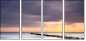 30759157