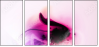 31395557
