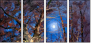 31860208