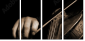 33360957