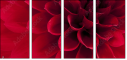 33891278