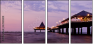33920389