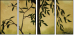 34338759