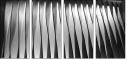 35619001