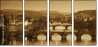 36297051