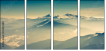 36423660