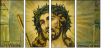 36638994