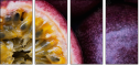 36705995