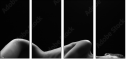 38857159