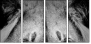 39012933