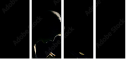 39076557