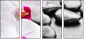 40051892