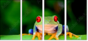 42467641