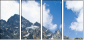 42660493