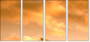 42979292