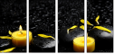 43880281