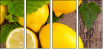 43956293