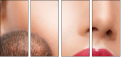 44016829