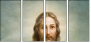 44247495