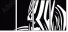 44412640