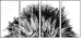 44646006