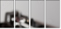 44702286