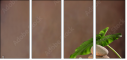 44772824