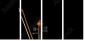 44789514