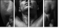 45026445