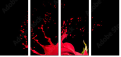 45070058