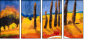 45337406