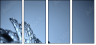 45608102